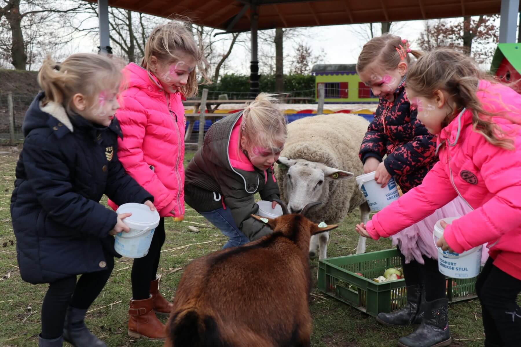 Schapen voeren bij Recreatieboerderij en Camping Johan en Caroline