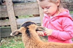 13x Logeren bij de boer!
