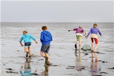 9x vakantie op een Waddeneiland met kinderen