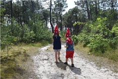 Dagje uit op Vlieland