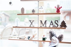 Vier Kerst en/of Oud & Nieuw bij Recreatiepark De Boshoek