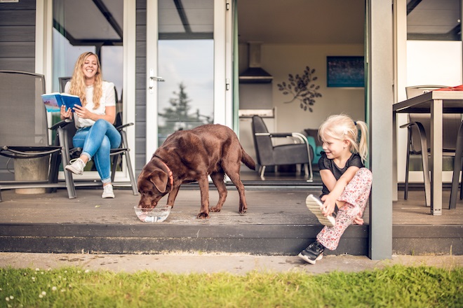 Madison Parel Mens Neem de hond mee op vakantie! | Kidsproofvakantie