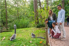 6x Familieplezier op de Veluwe