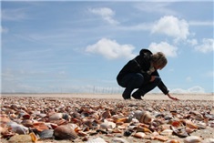 Leuke campings in Zeeland