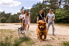 Híer moet je zijn op de Veluwe! 5x leuke plekken om te overnachten
