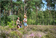 Leuke vakantieparken op de Veluwe 