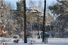 Winterkamperen; voor doorgewinterde kampeerders!