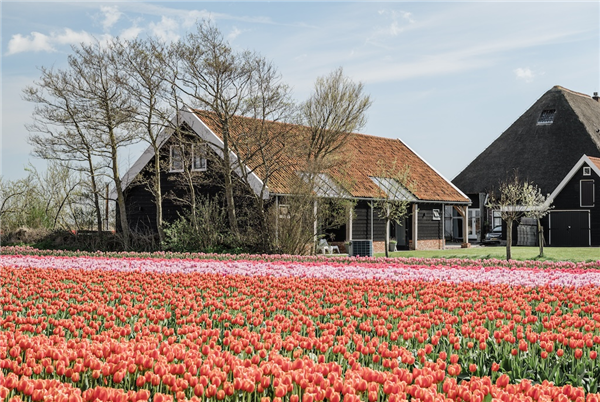 Vakantiehuis Oersterck