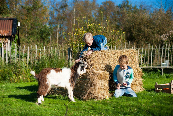 Boerderij de Omleiding