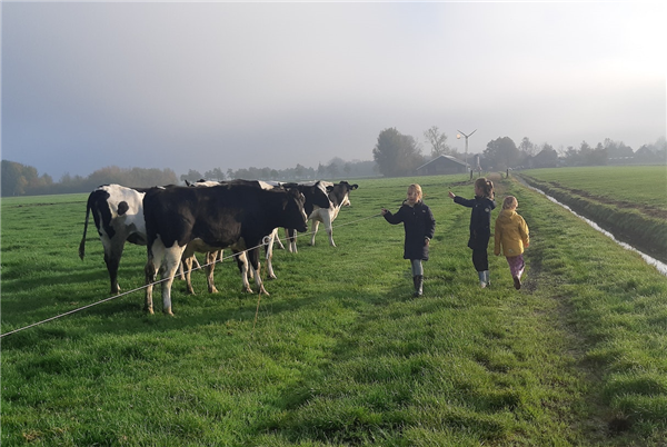 Boerderij Botterheerd