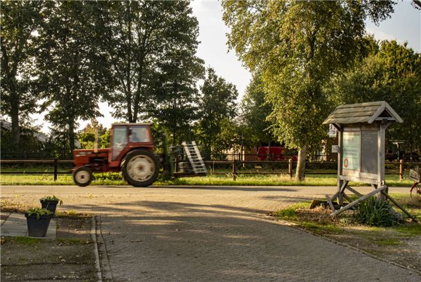 De Brabantse Hei