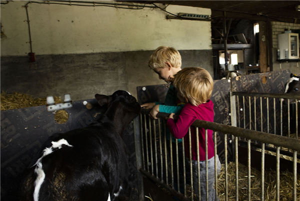 Hoeve de Betuwe