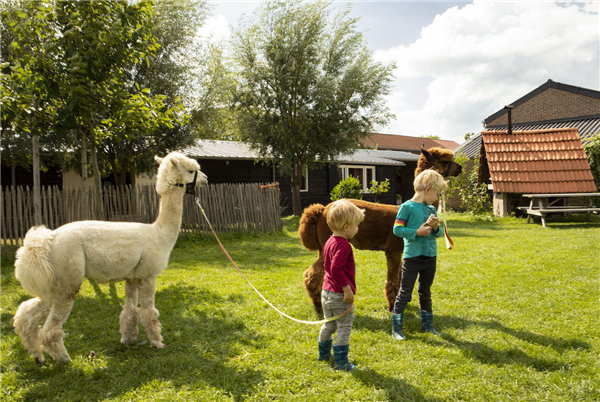 Hoeve de Betuwe