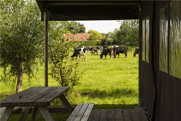 Hoeve de Betuwe