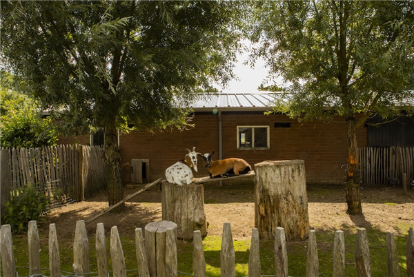 Hoeve de Betuwe