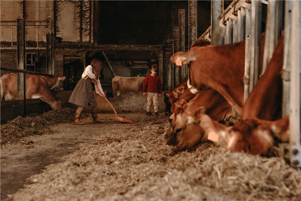 Hoeve den Overdraght (BE)