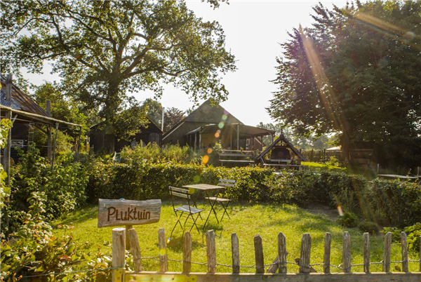 Landhoeve op de Veluwe