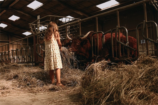 Ferme Rochefort en Ardenne