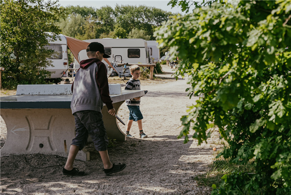 Camping Bakkum