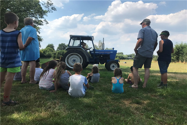 Camping De Weeltenkamp