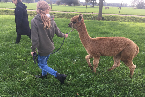 Hertenboerderij de Weerd