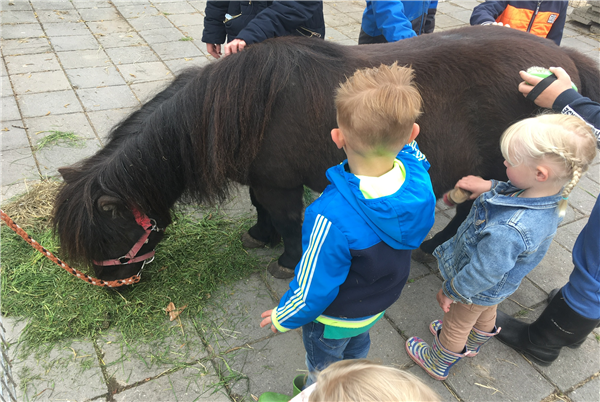 Hertenboerderij de Weerd