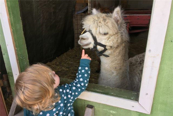 Hertenboerderij de Weerd