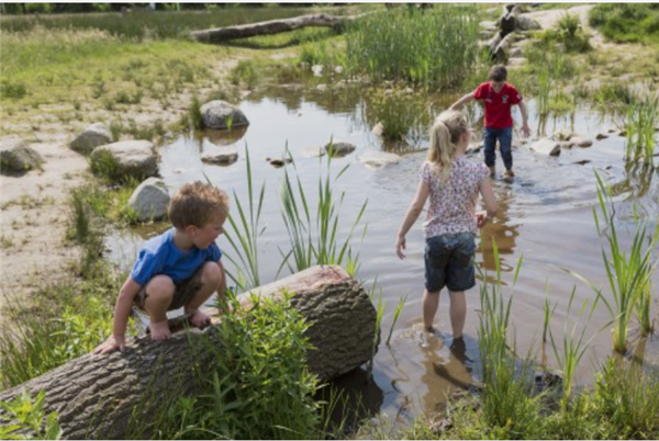 Camping Torentjeshoek