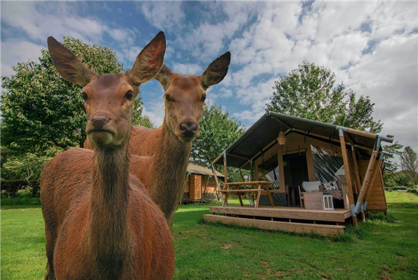 Hertenboerderij de Weerd