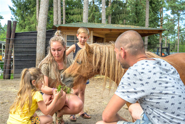 Vakantiepark De Scheepsbel