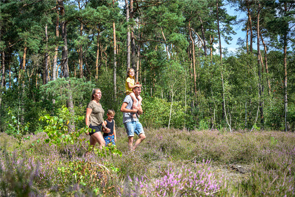 Vakantiepark De Scheepsbel