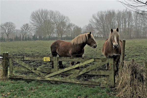 De Broekse Hoeve