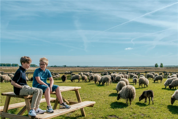 Vakantiepark Ruinen