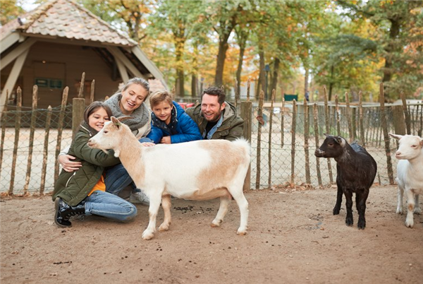 Het Heijderbos