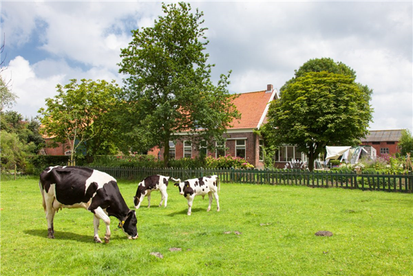 Hoeve Zeeland