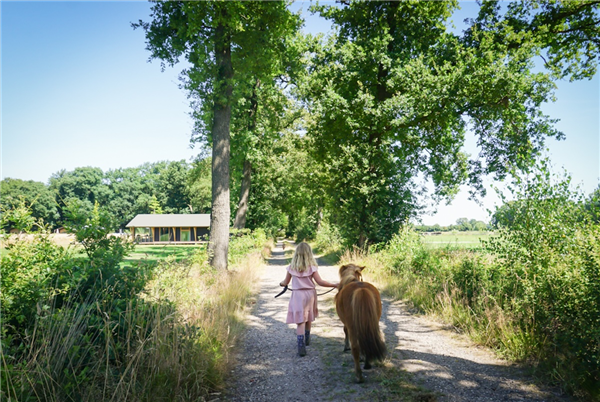 Landrijk De Reesprong