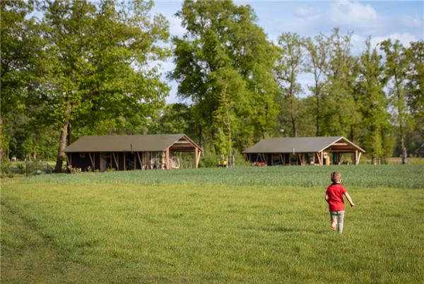 Landrijk De Reesprong