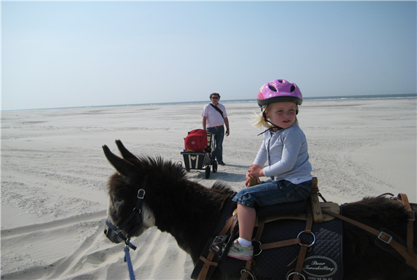 Puur Terschelling