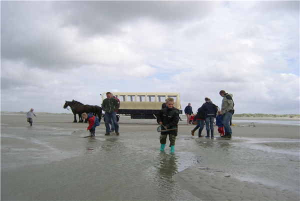 Puur Terschelling