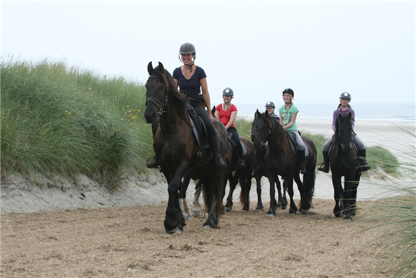 Puur Terschelling