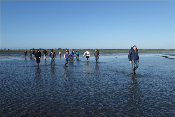 Puur Terschelling