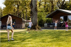 Camping de Noetselerberg<br>