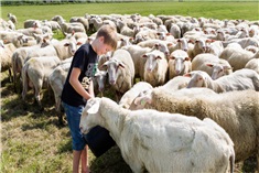 De Zeekraal Terschelling<br>