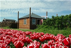 Camping Duinzoomhoeve<br>