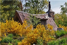 Camping de Blauwe Haan<br>