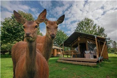 Hertenboerderij de Weerd
