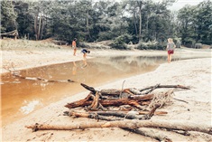 Camping Hartje Groen<br>