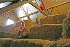 Boerderijcamping Mariekerke<br>