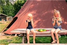 Natuurcamping de Kemphaan<br>