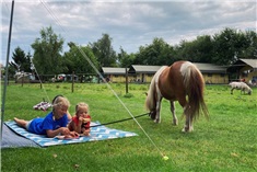 Recreatiepark De Bosrand